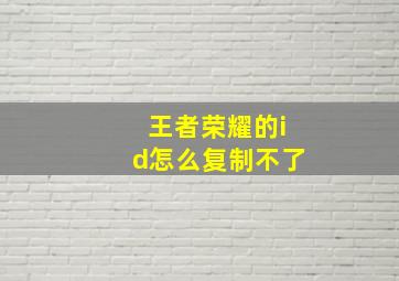 王者荣耀的id怎么复制不了