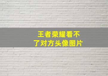 王者荣耀看不了对方头像图片