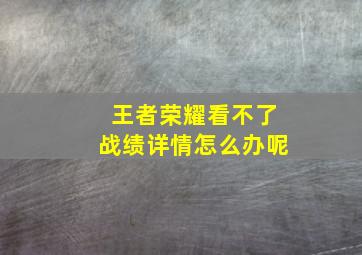 王者荣耀看不了战绩详情怎么办呢