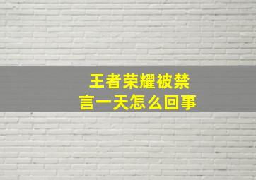 王者荣耀被禁言一天怎么回事