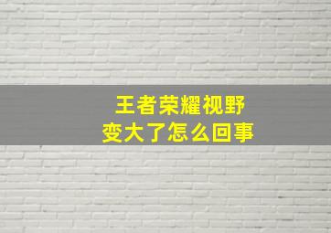 王者荣耀视野变大了怎么回事