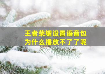 王者荣耀设置语音包为什么播放不了了呢