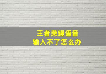 王者荣耀语音输入不了怎么办