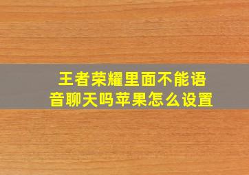 王者荣耀里面不能语音聊天吗苹果怎么设置