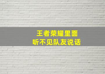 王者荣耀里面听不见队友说话