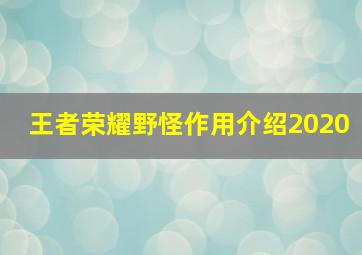 王者荣耀野怪作用介绍2020