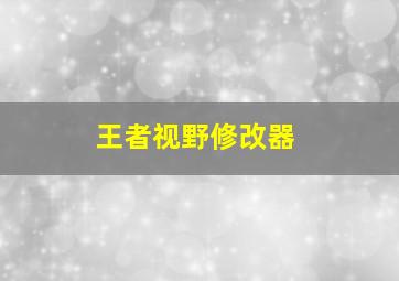 王者视野修改器