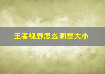 王者视野怎么调整大小