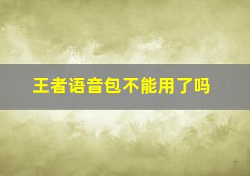 王者语音包不能用了吗