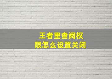 王者里查阅权限怎么设置关闭