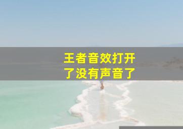 王者音效打开了没有声音了