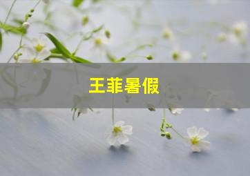 王菲暑假