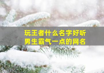 玩王者什么名字好听男生霸气一点的网名