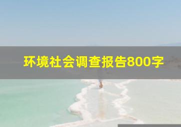 环境社会调查报告800字