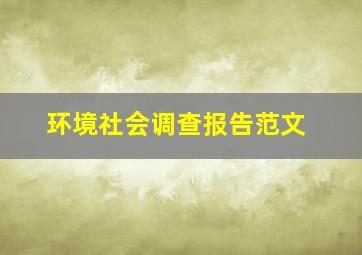 环境社会调查报告范文