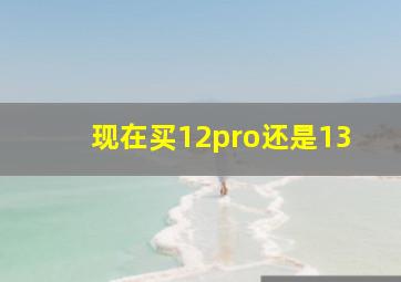 现在买12pro还是13