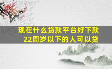 现在什么贷款平台好下款22周岁以下的人可以贷