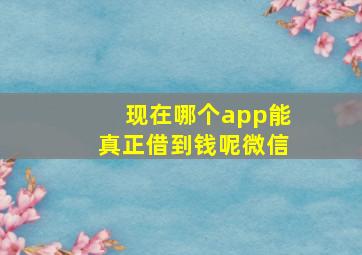 现在哪个app能真正借到钱呢微信