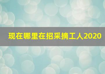 现在哪里在招采摘工人2020