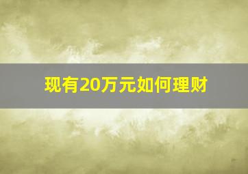 现有20万元如何理财