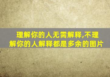 理解你的人无需解释,不理解你的人解释都是多余的图片