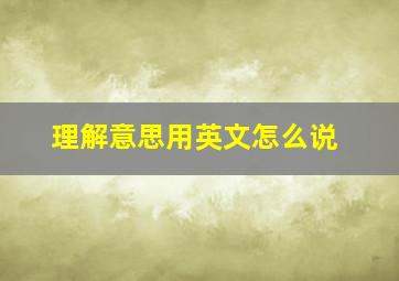 理解意思用英文怎么说