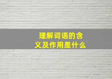 理解词语的含义及作用是什么