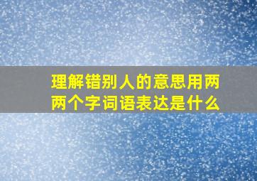 理解错别人的意思用两两个字词语表达是什么