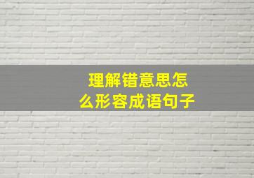 理解错意思怎么形容成语句子