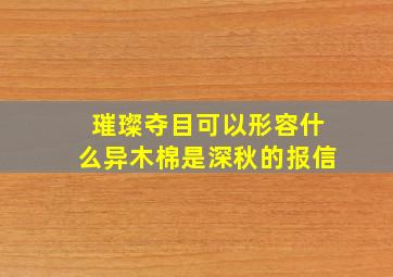 璀璨夺目可以形容什么异木棉是深秋的报信