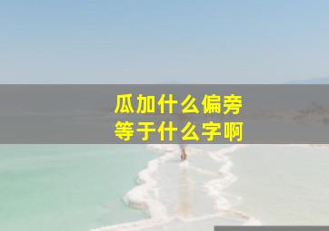 瓜加什么偏旁等于什么字啊