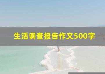 生活调查报告作文500字