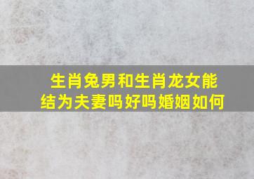 生肖兔男和生肖龙女能结为夫妻吗好吗婚姻如何