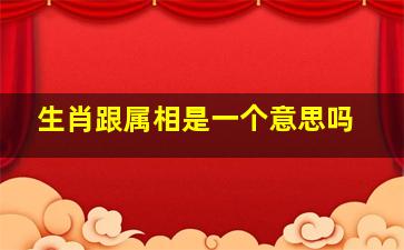 生肖跟属相是一个意思吗