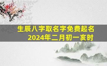 生辰八字取名字免费起名2024年二月初一亥时