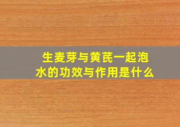 生麦芽与黄芪一起泡水的功效与作用是什么