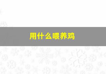 用什么喂养鸡