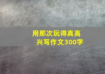 用那次玩得真高兴写作文300字