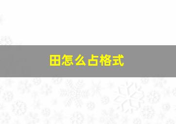 田怎么占格式