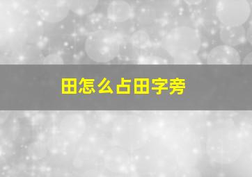 田怎么占田字旁