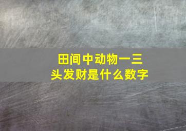 田间中动物一三头发财是什么数字