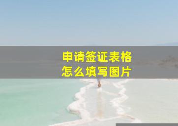 申请签证表格怎么填写图片