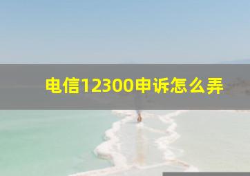 电信12300申诉怎么弄