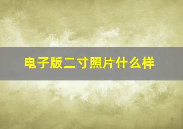 电子版二寸照片什么样