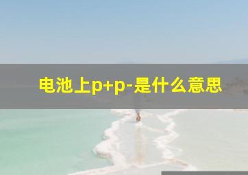 电池上p+p-是什么意思