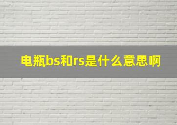 电瓶bs和rs是什么意思啊