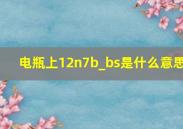 电瓶上12n7b_bs是什么意思