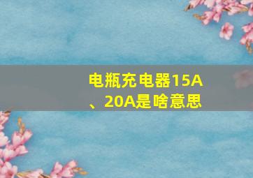 电瓶充电器15A、20A是啥意思