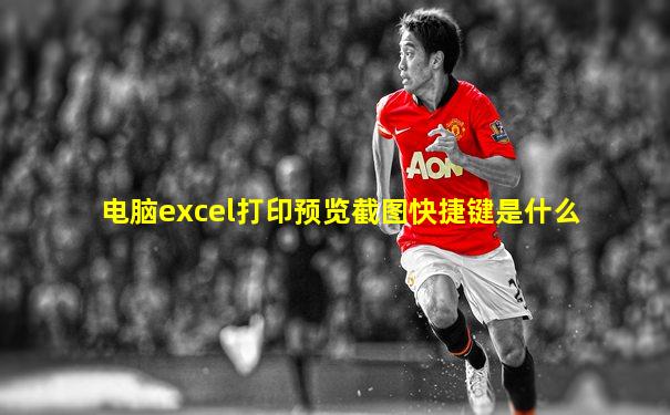 电脑excel打印预览截图快捷键是什么