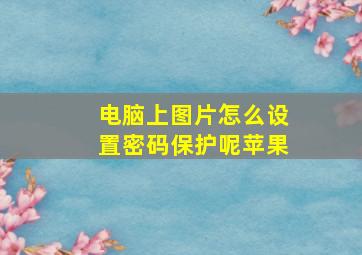 电脑上图片怎么设置密码保护呢苹果